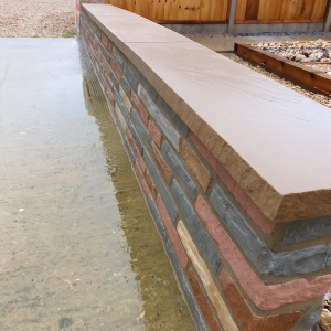 Multi Colour Sandstone Coping Stones 900x150