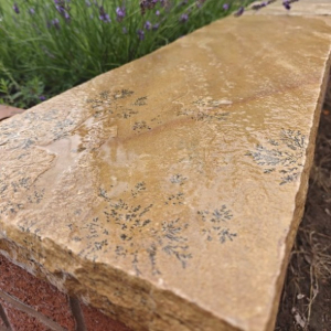 Fossil Mint Sandstone Coping Stone 900x450