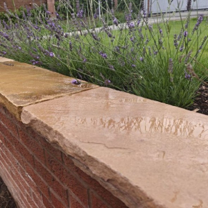 Fossil Mint Sandstone Coping Stone 900x300